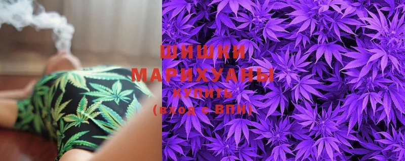 Бошки марихуана White Widow  Алексеевка 